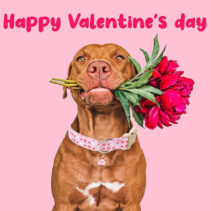 Faygarsle Valentine's Day Dog Collar, Adjustable - Image 6