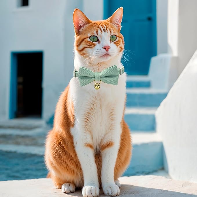 2 Pack Soft Corduroy Cat Collars - Image 7