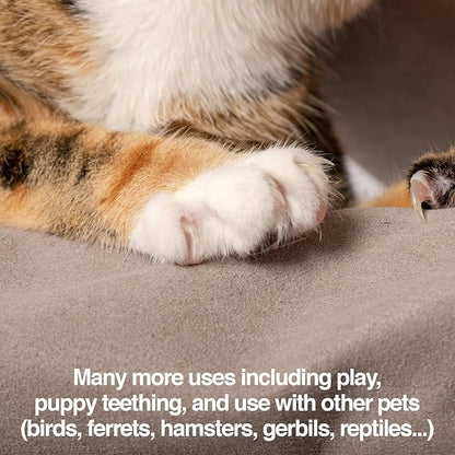 PetFusion Multipurpose Pet Grooming Gloves Great - Image 7