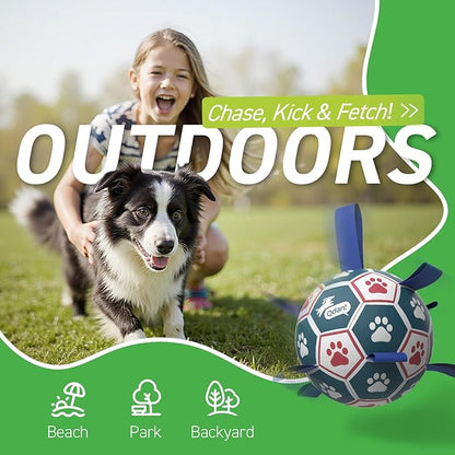 QDAN Large Dog Toys, 8 Inch Durable Balls - Image 3