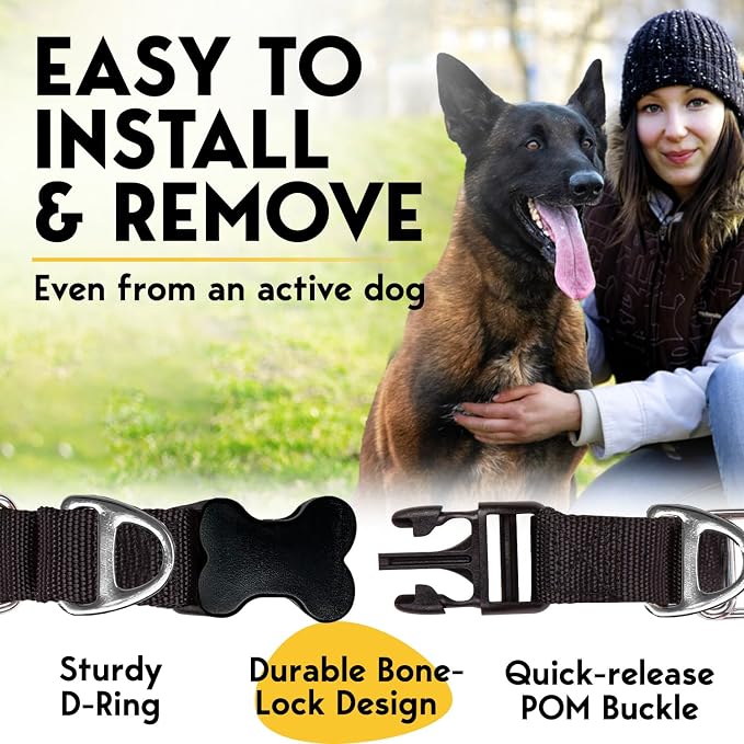 PetJett Prong Collar for Dogs - Image 5
