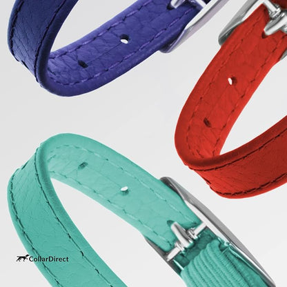 CollarDirect Leather Cat Collar, Kitten Collar - Image 8