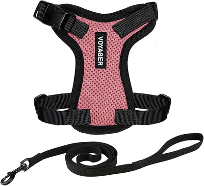 Voyager Escape-Proof Step-in Lock Cat Harness & 5ft Neoprene-Handle Leash Set by BestPetSuppliesLLC