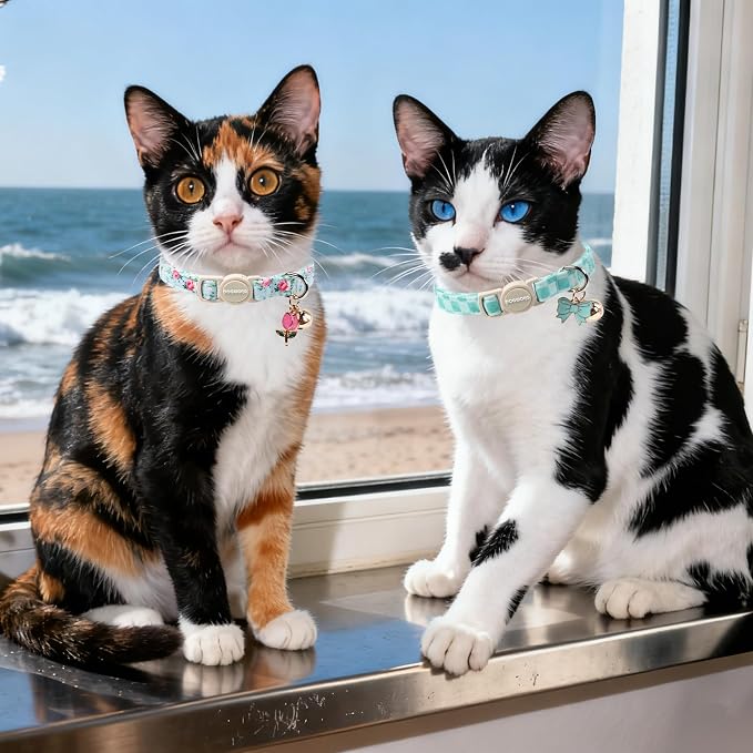2 Pack Green Flower Cat Collars Breakaway - Image 5