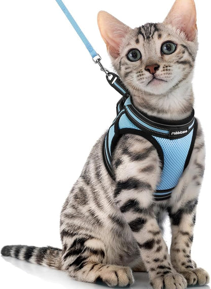 rabbitgoo Cat Harness and Leash Set by rabbitgoo