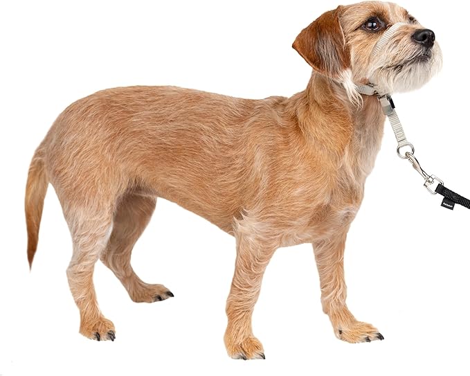 PetSafe Gentle Leader Headcollar No-Pull Dog Collar by PetSafe