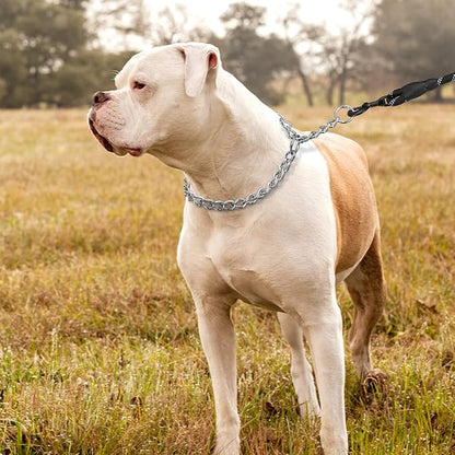 TagME Chain Choke Collar for Dogs, Adjustable Weather Proof Necklace for Medium - Image 6