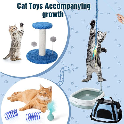 Eccliy Kitten Starter Kit, Pet Toy, Folding Carrier, Climbing Frame, Automatic - Image 7