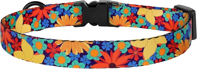 Cat Collars 2 Pack - Image 8