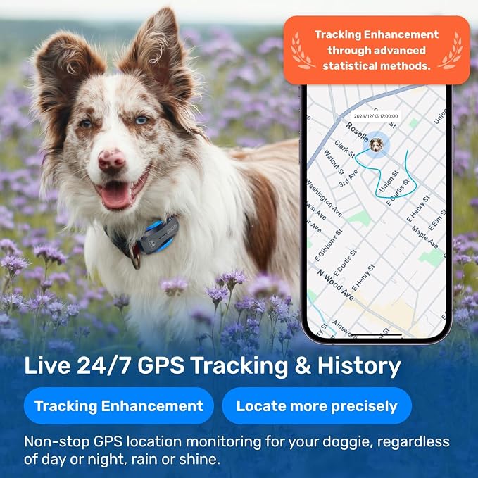 AI GPS Tracker for Dogs, Real Time Location and AI Vet Health Management - Image 2