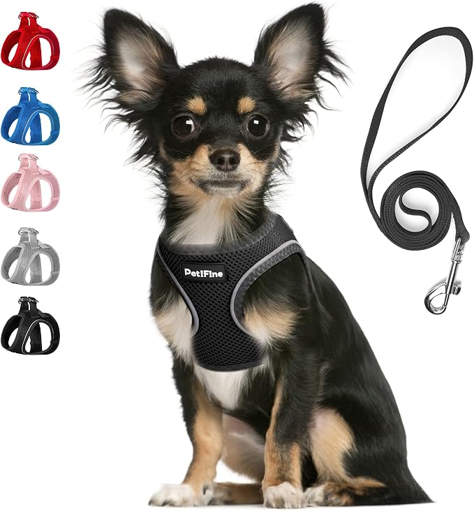 PetiFine Step in Small Dog Harness and Leash Set, Breathable All Weather Air by PetiFine
