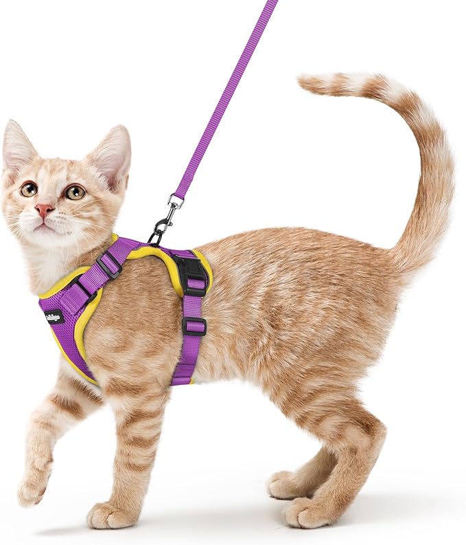 rabbitgoo Cat Harness and Leash by rabbitgoo
