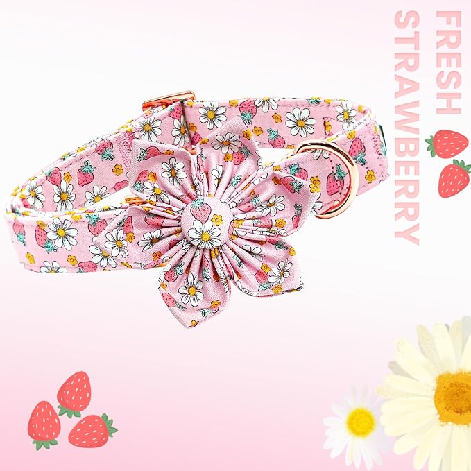 Lionheart glory Dog Collar Flower Collar Pink Dog Collar - Image 3