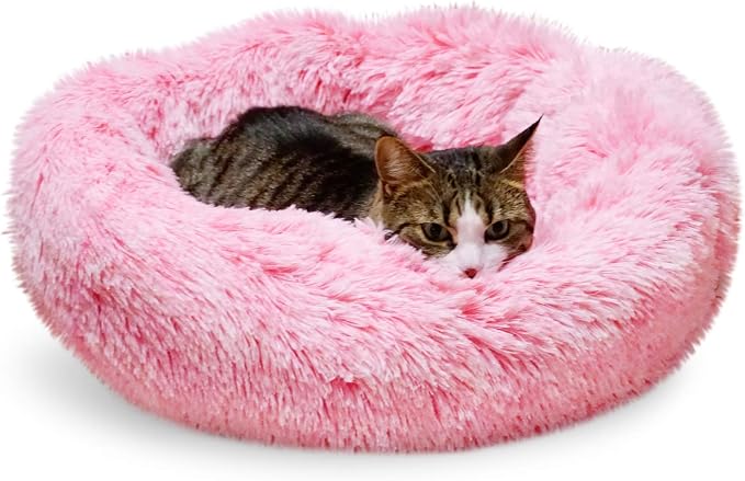 Whiskers & Friends Cat Beds for Indoor Cats Washable, Orthopedic Soft Fluffy by WhiskersFriends