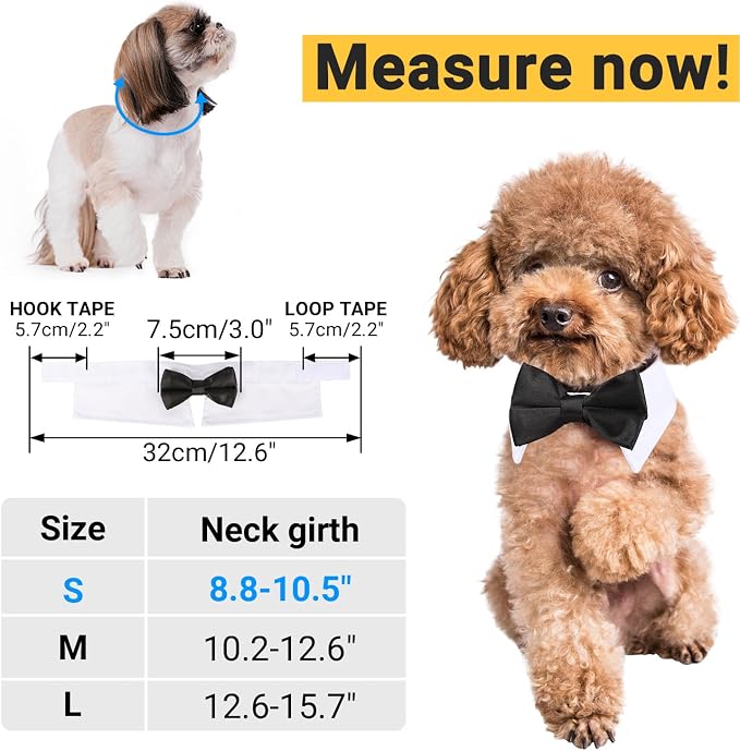 Segarty Bow Tie Cat Collar for Neck Girth 8.8-10.5 in, Tux Puppies Dog Bowtie - Image 2