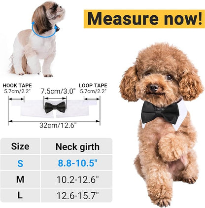 Segarty Bow Tie Cat Collar for Neck Girth 8.8-10.5 in, Tux Puppies Dog Bowtie - Image 2