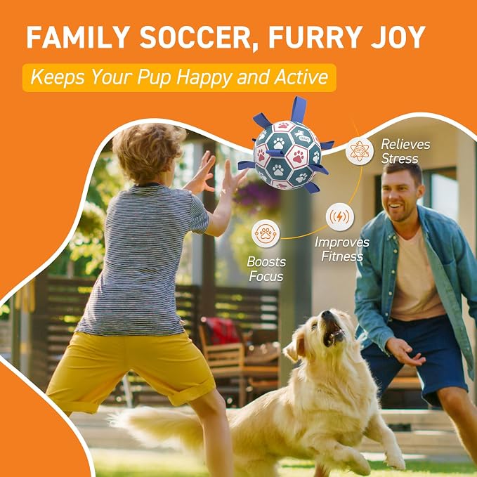 QDAN Large Dog Toys, 8 Inch Durable Balls - Image 5