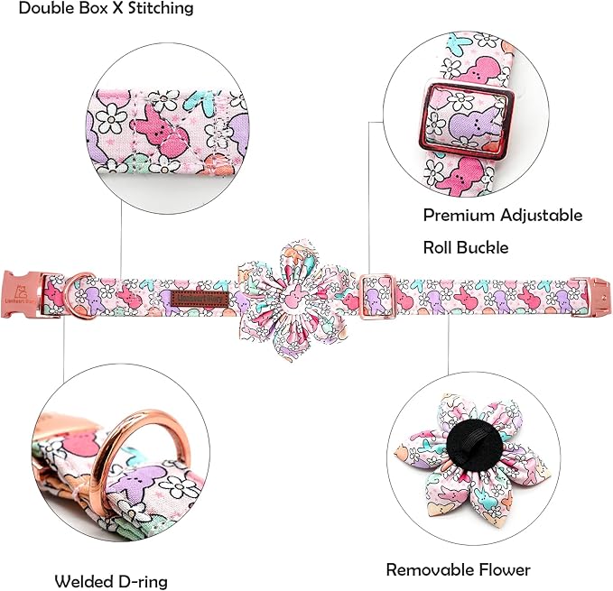 Lionheart glory Easter Day Dog Collar - Image 2