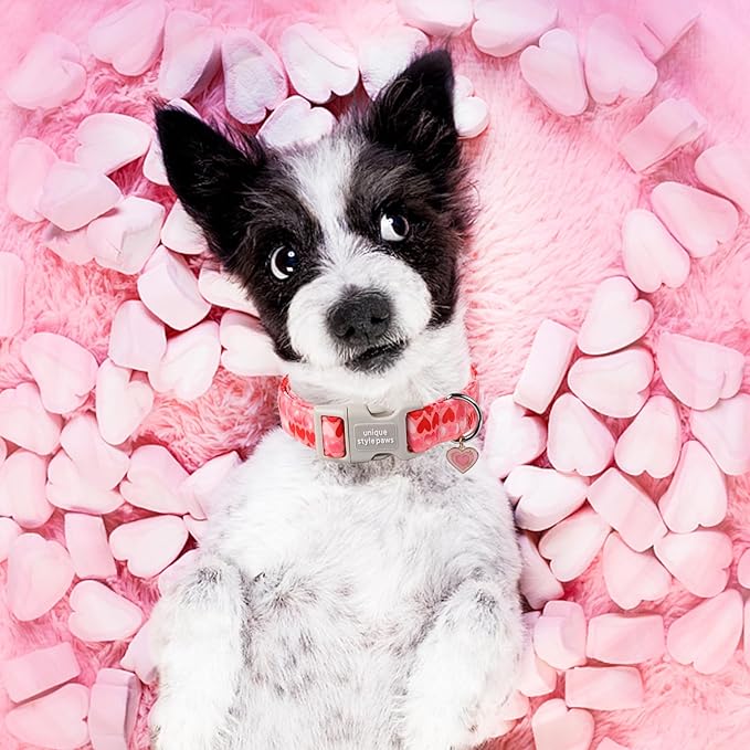 Unique style paws Valentine's Day Dog Collar Plastic Buckle Collar - Image 4