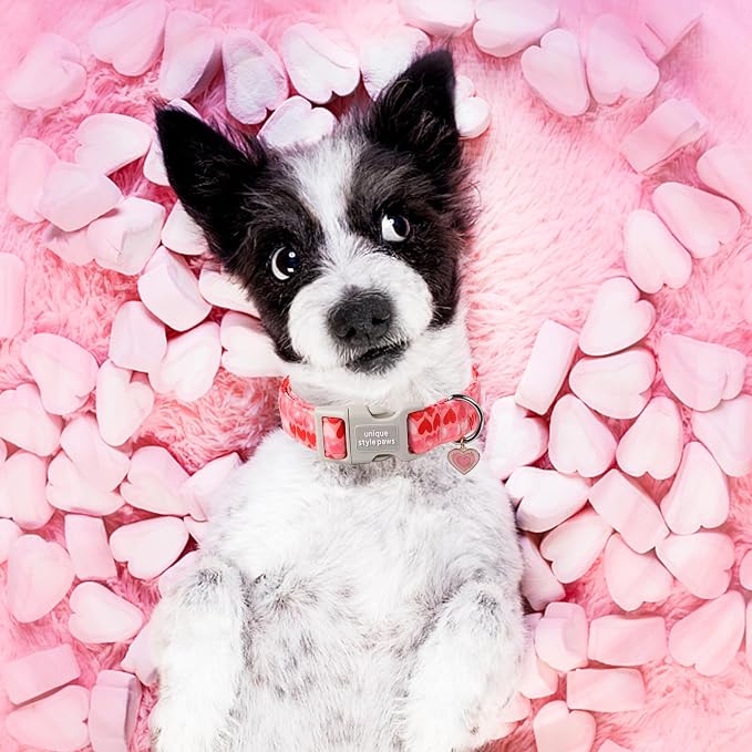 Unique style paws Valentine's Day Dog Collar Plastic Buckle Collar - Image 4