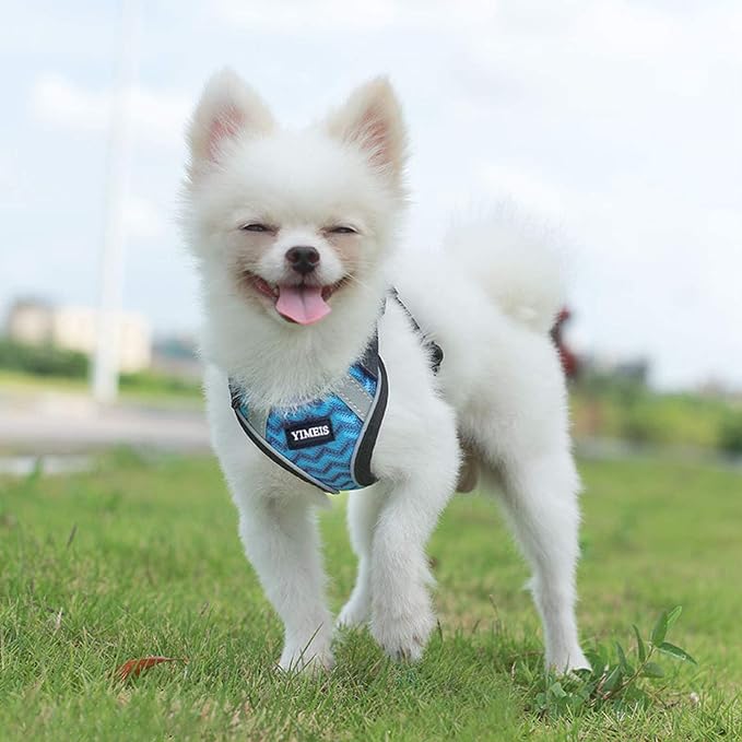 YIMEIS Dog Harness and Leash Set, No Pull Soft Mesh Pet Harness, Reflective - Image 4