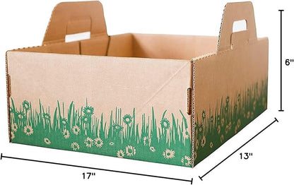 Disposable Ten Second Litter Boxes - Image 10