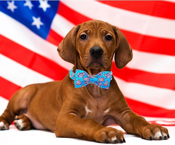 Lionheart glory American Flag Dog Collar, 4 of July Dog Bow Collar Heavy Duty - Image 6