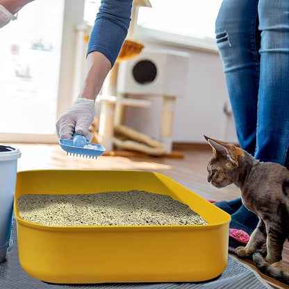 5PCS Small Litter Box, Plastic Kitten Litter Box, 13.9 x 9.8 x 3 Inch Open - Image 6