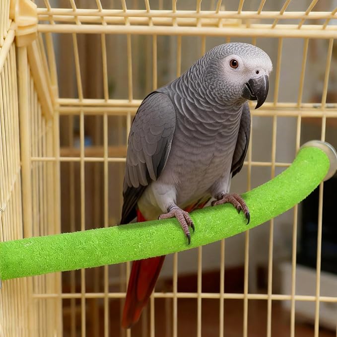Rypet Parrot Perch Stand Toy Used - Image 3