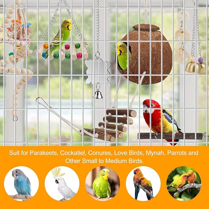 For Parakeet, Love Birds, Parrots - Image 7