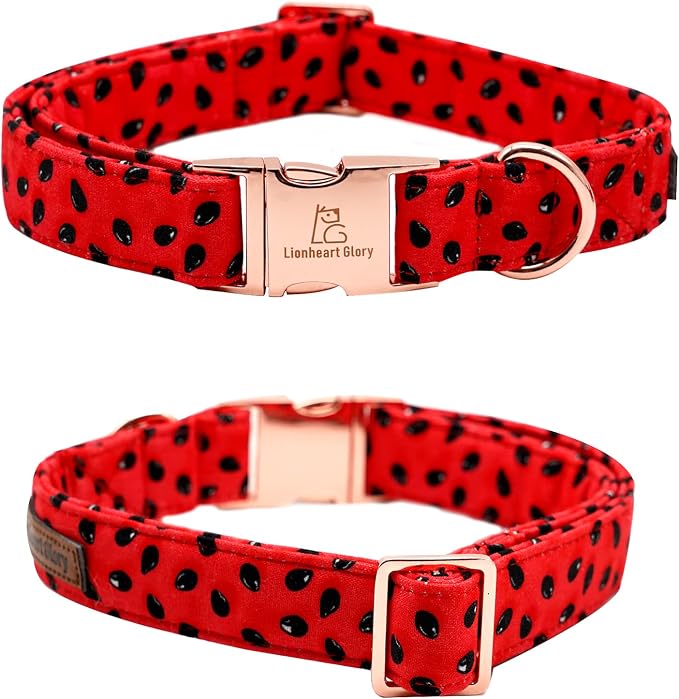 Lionheart glory Dog Collar, Watermelon Dog Collar - Image 5