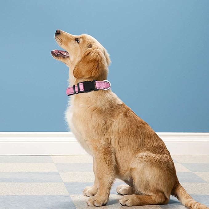 Reflective Dog Collar, Adjustable Soft Neoprene Padded Nylon Pet Collars - Image 2