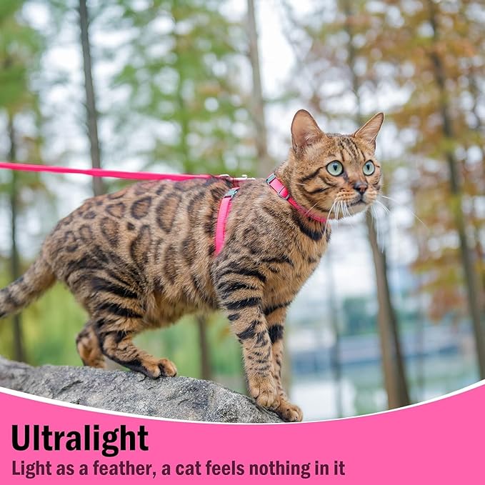 PUPTECK Adjustable Cat Harness and Leash Set Escape Proof Kitten Strap Collar - Image 5