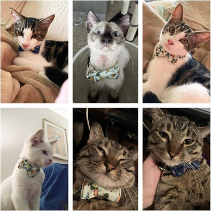 ADOGGYGO Cat Collar Breakaway - Image 3