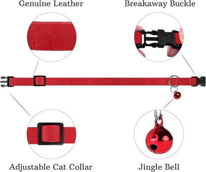 Breakaway Cat Collar Leather - Image 4
