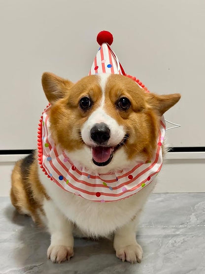 Cat Dog Birthday Bandana Scarf and Party Hat Cute Polka dot and Stripe Bib - Image 4