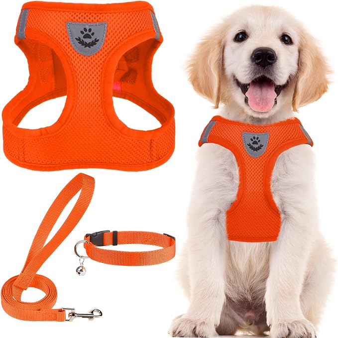 PUPTECK Adjustable Dog Harness Collar and Leash Set Step in No Pull Pet Harness by PUPTECK