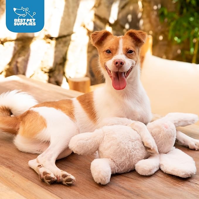 Best Pet Supplies Interactive Squeaky Dog Chew Toy, Ideal Dog Toys - Image 6