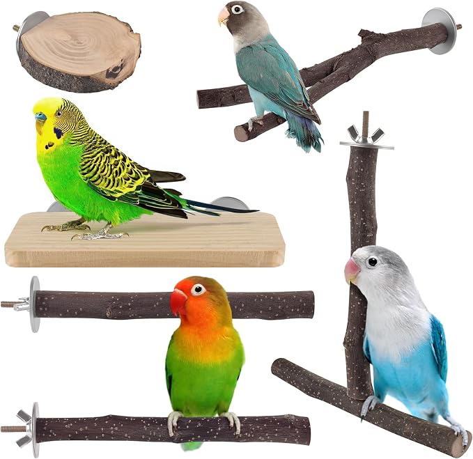 Bird Perches, Hanging Multi-Branch Parrot Perch Platform Swing Toy Cage by DBNESS