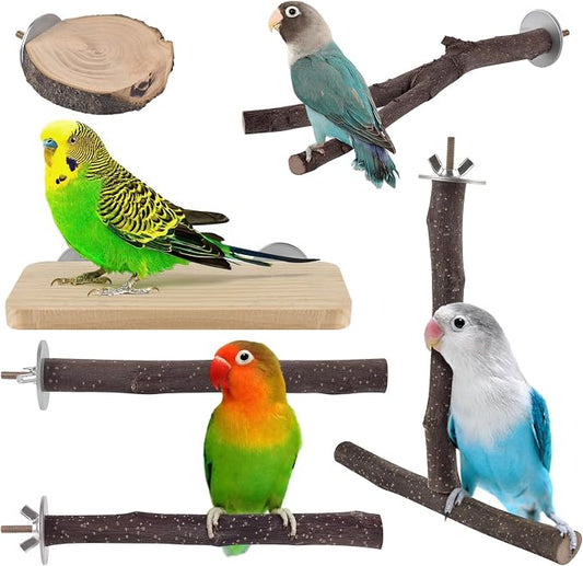 Bird Perches, Hanging Multi-Branch Parrot Perch Platform Swing Toy Cage by DBNESS