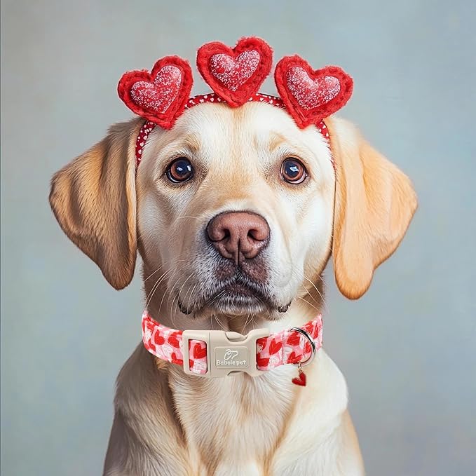 Valentines Dog Collar for Medium Dogs - Image 5