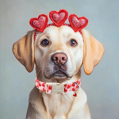 Valentines Dog Collar for Giant Large Dogs - Image 5