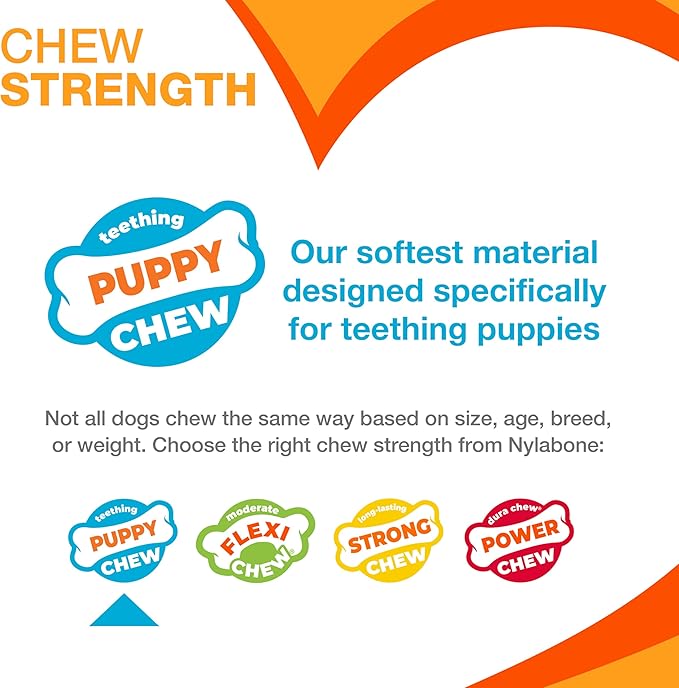 Nylabone Puppy Chew Key Ring Toy, Toys - Image 3
