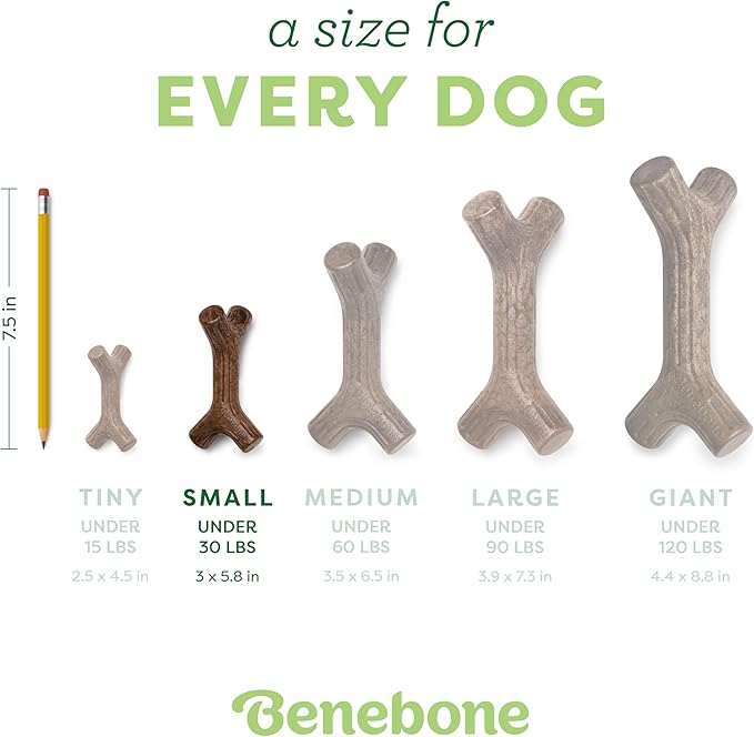 Brinquedo Mordedor Para Cachorro Benebone Bacon Stick Pequeno - Image 4