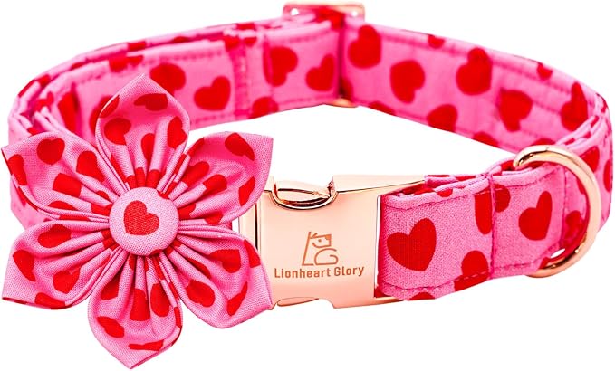 Lionheart glory Valentine's Day Dog Collar by LionheartGlory