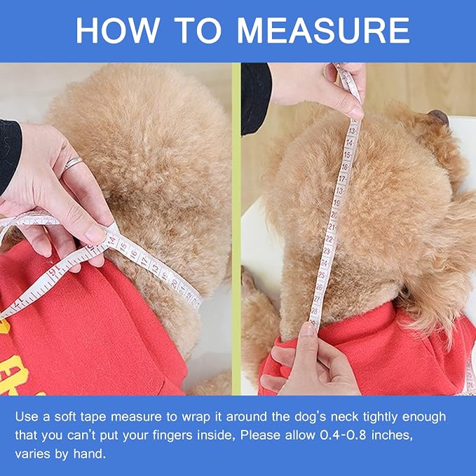 Soft Dog Cone, Lightweight Elizabethan Collar - Image 2