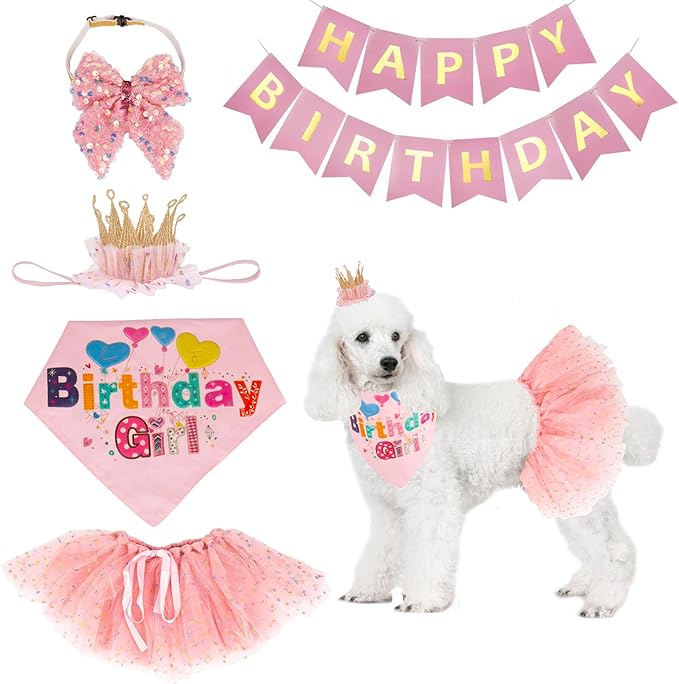 ADOGGYGO Dog Birthday Hat Bandana Girl by ADOGGYGO