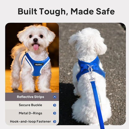 PetiFine Step in Small Dog Harness and Leash Set, Breathable All Weather Air - Image 4