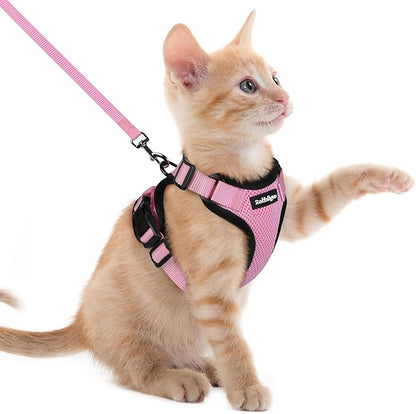 rabbitgoo Cat Harness and Leash by rabbitgoo