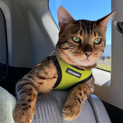 Best Pet Supplies Voyager Step-in Air Harness - Image 8